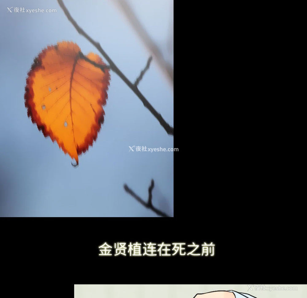 36P - 别离我而去