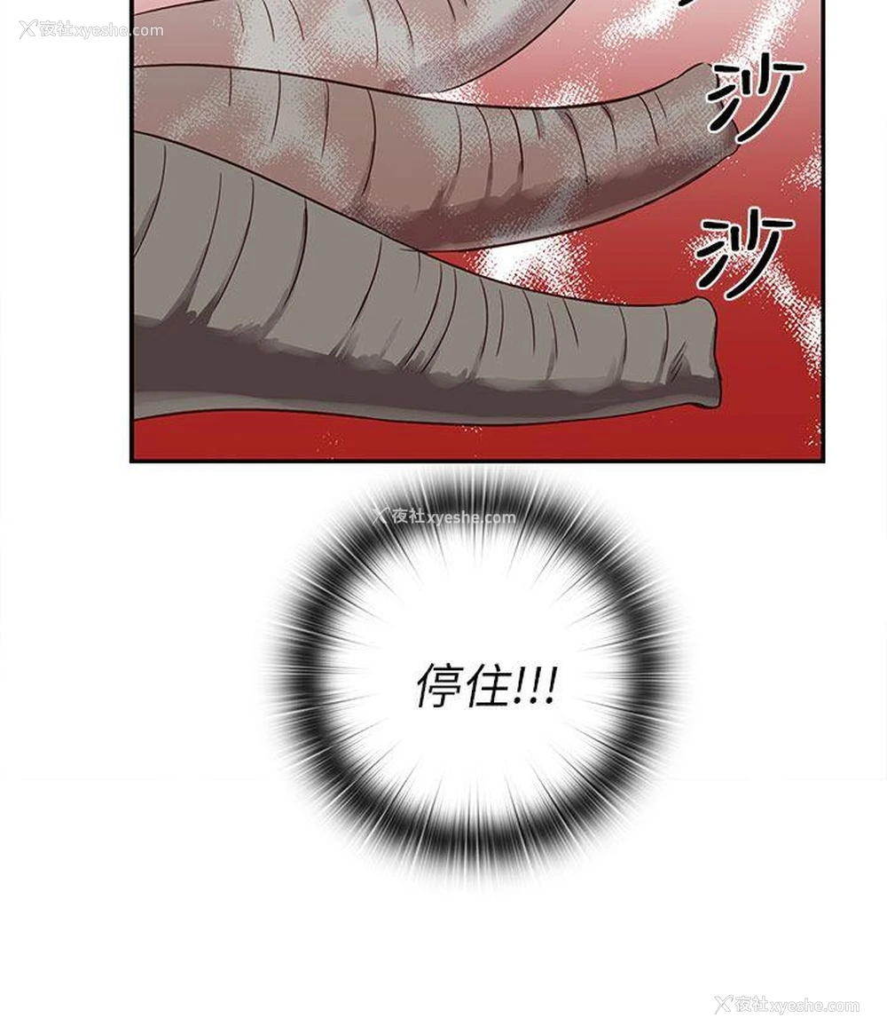 50P - H校园