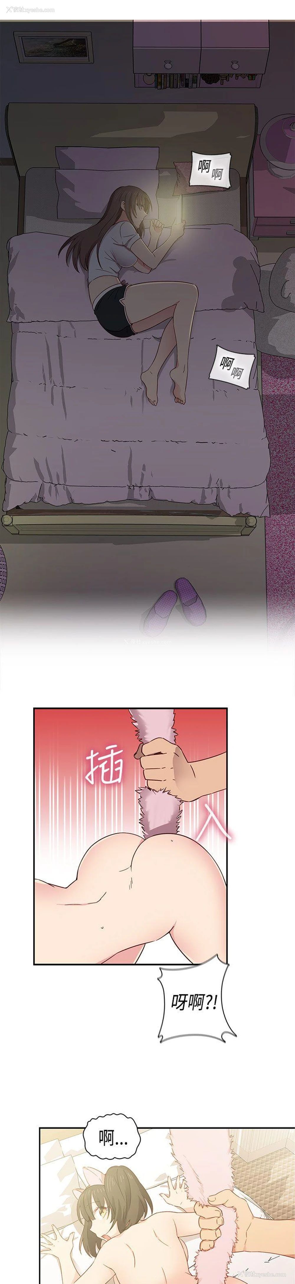 6P - H校园
