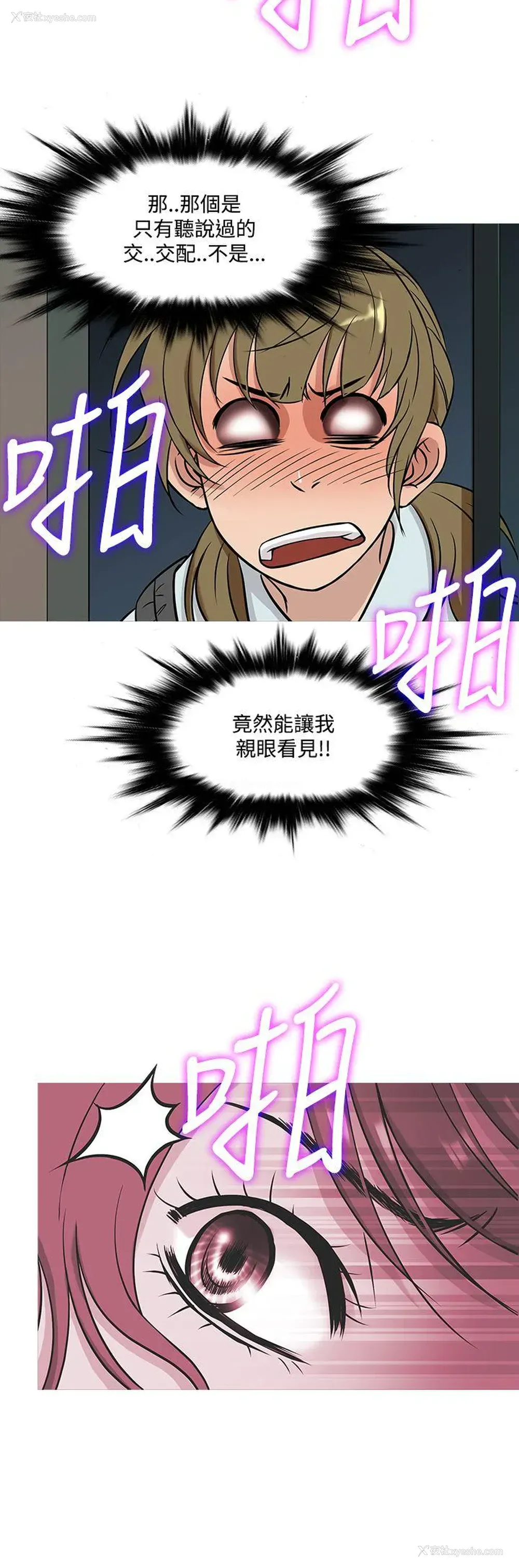 16P - 鸭王