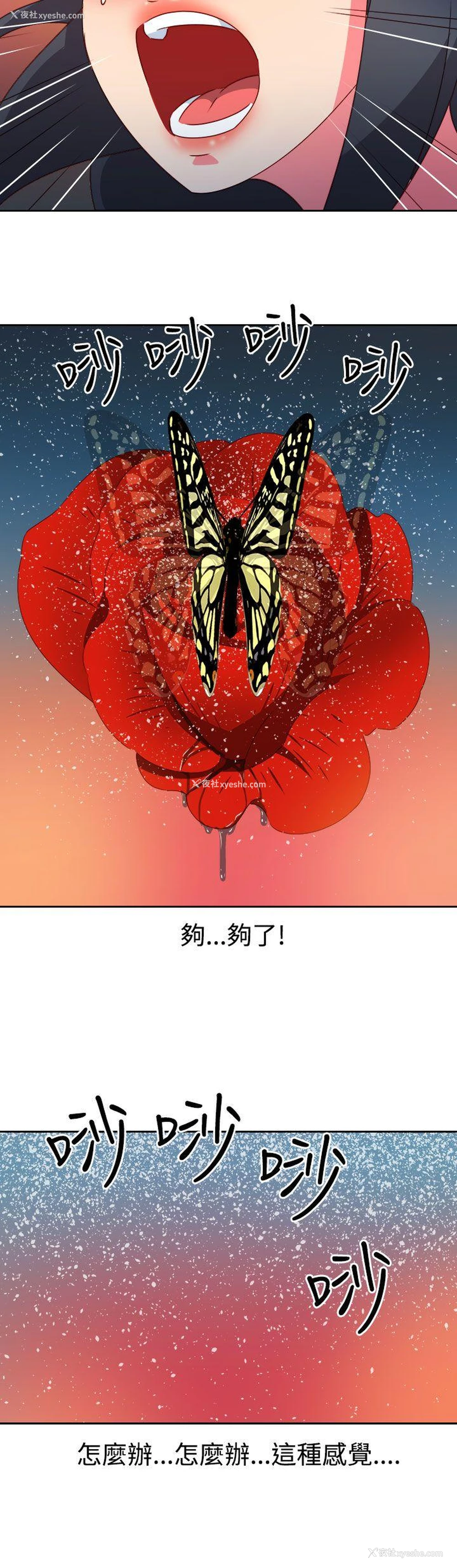 8P - 情欲灵药