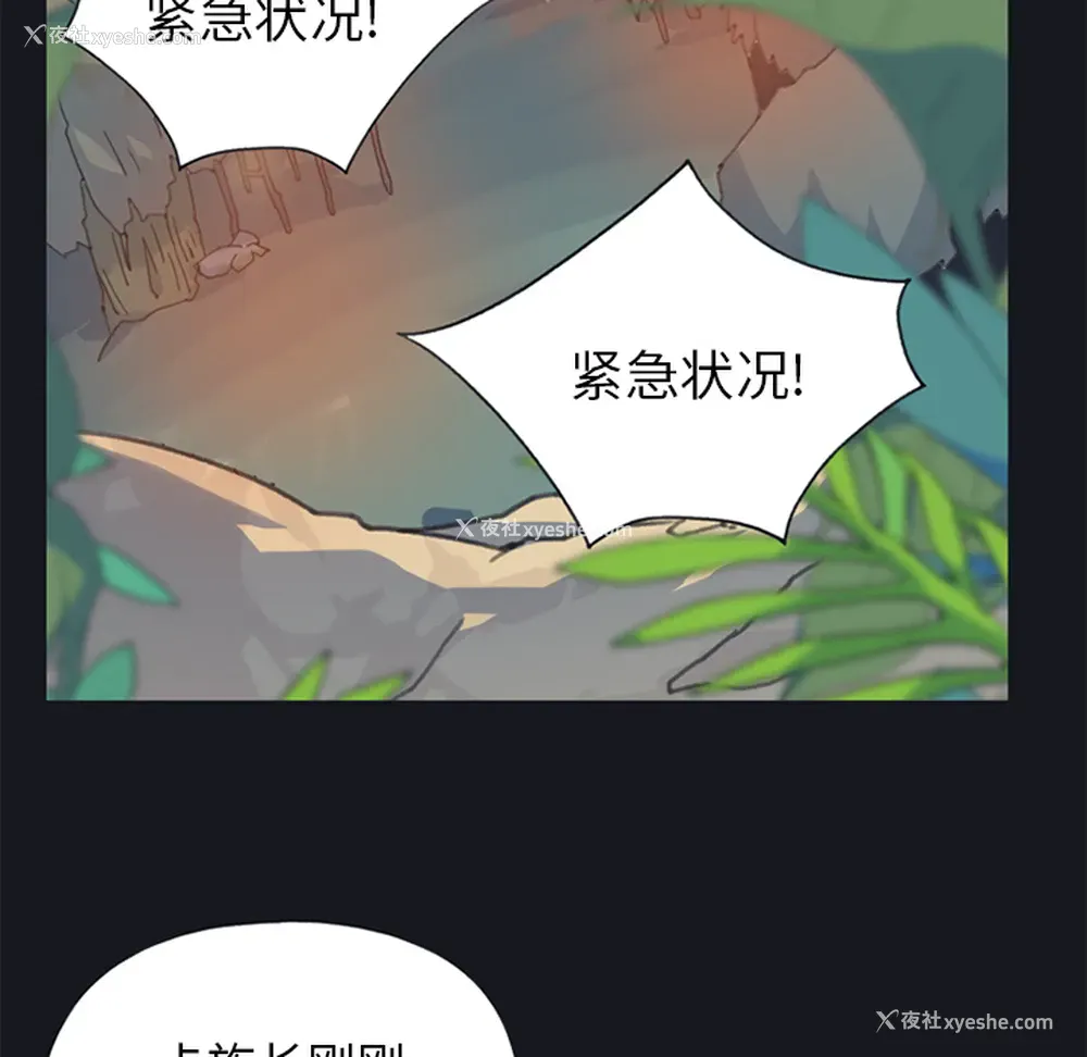 44P - 15少女漂流记