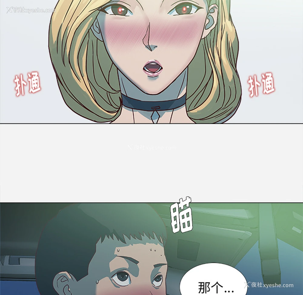 5P - 王牌经纪人