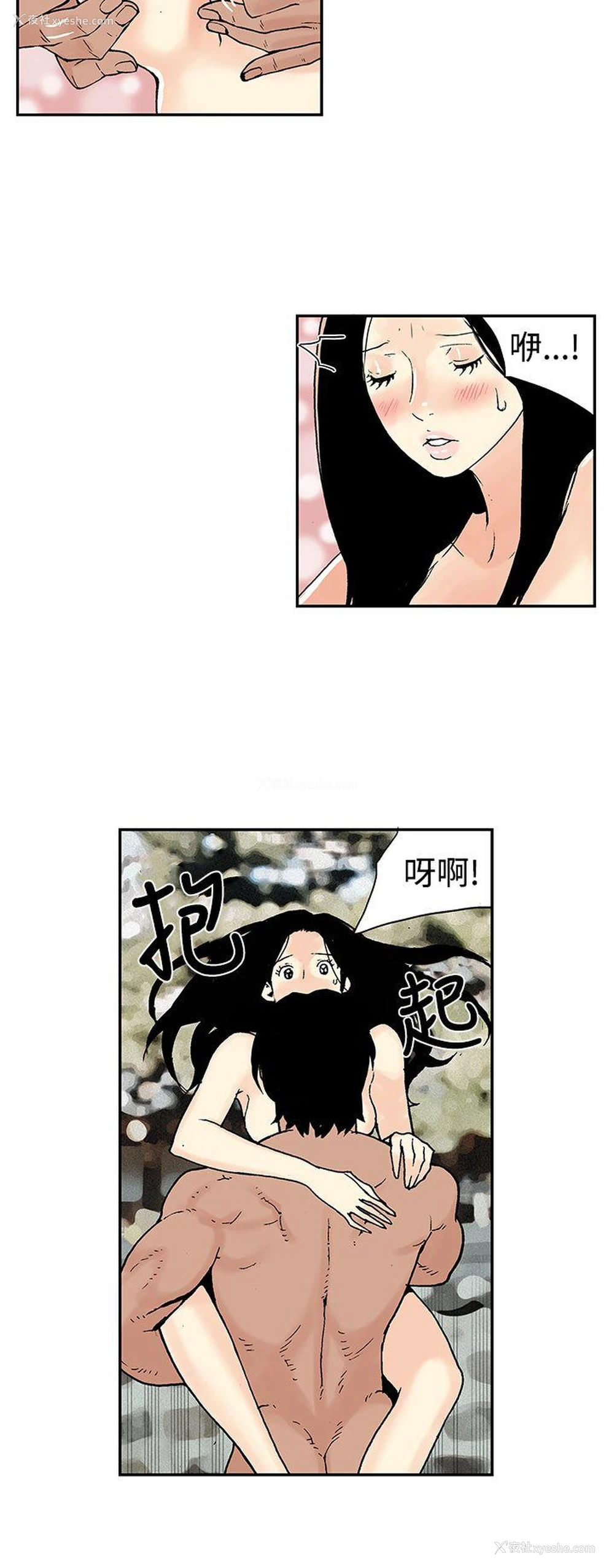 10P - 月红夜花
