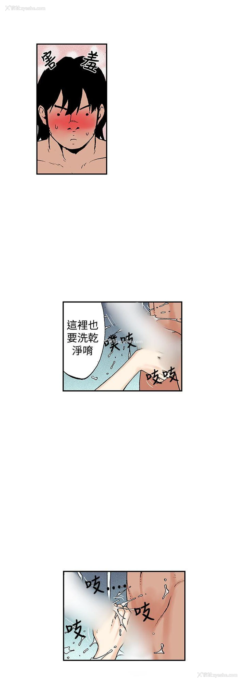 4P - 月红夜花