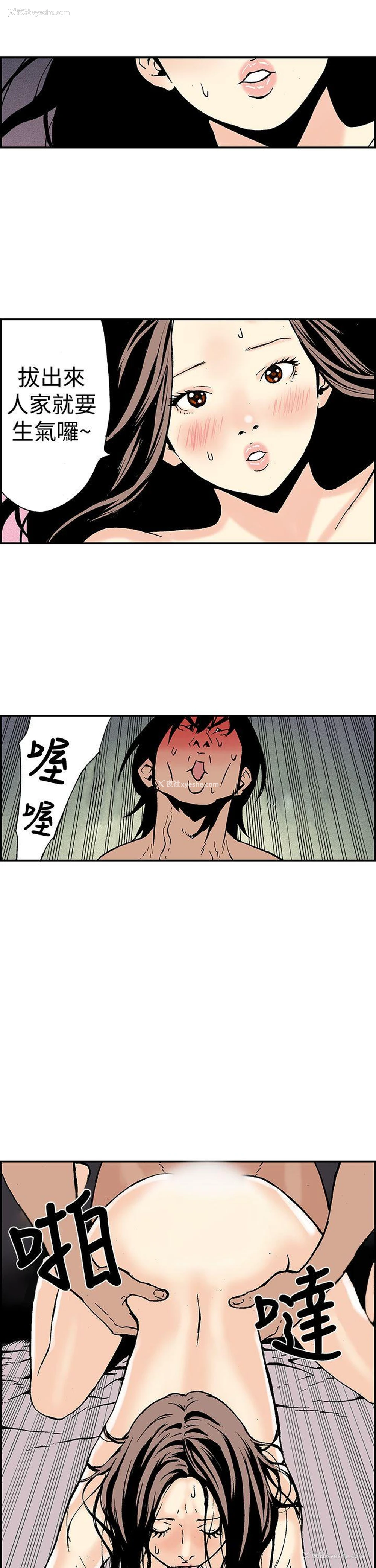 13P - 月红夜花