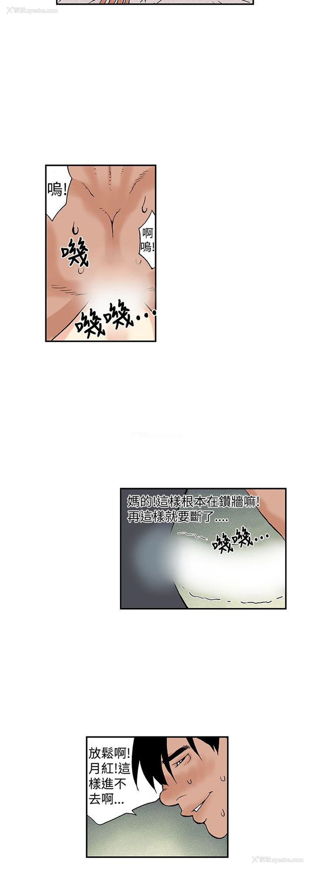 4P - 月红夜花