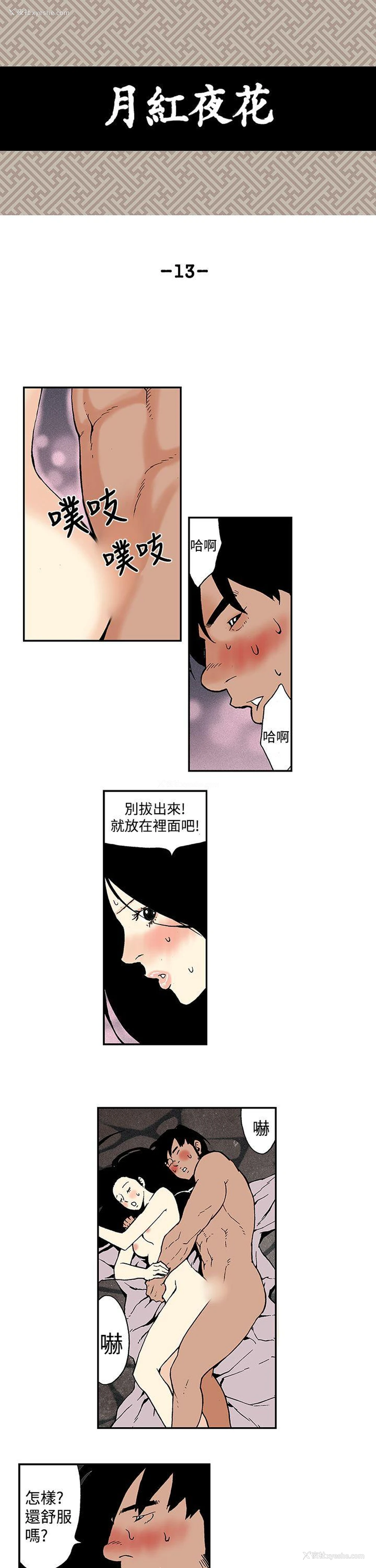 1P - 月红夜花