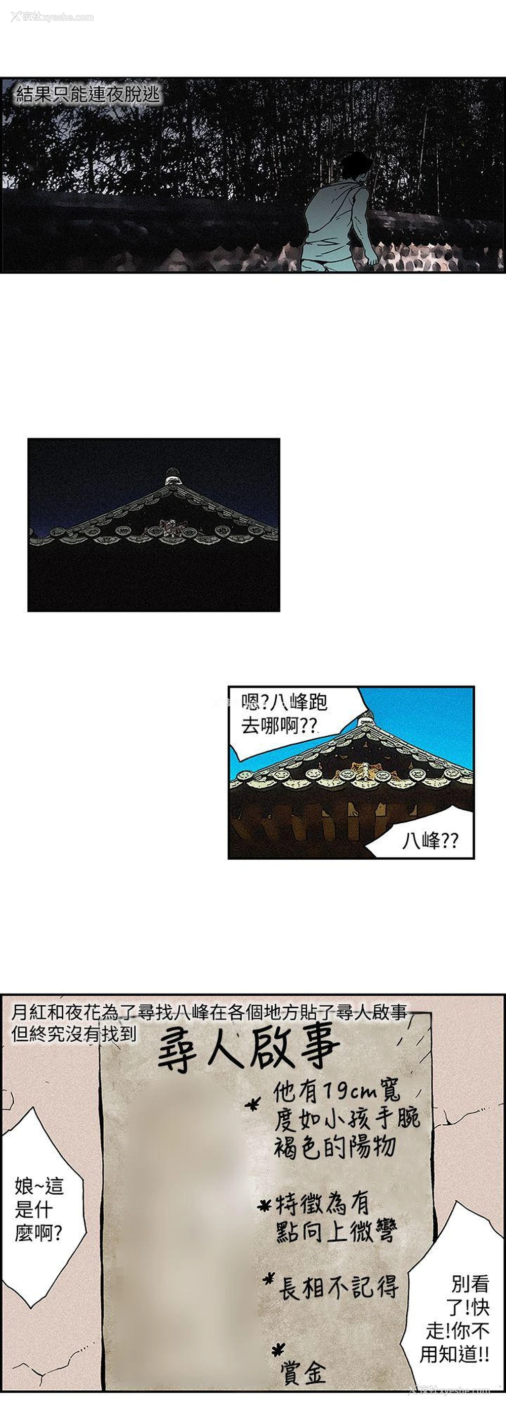 4P - 月红夜花