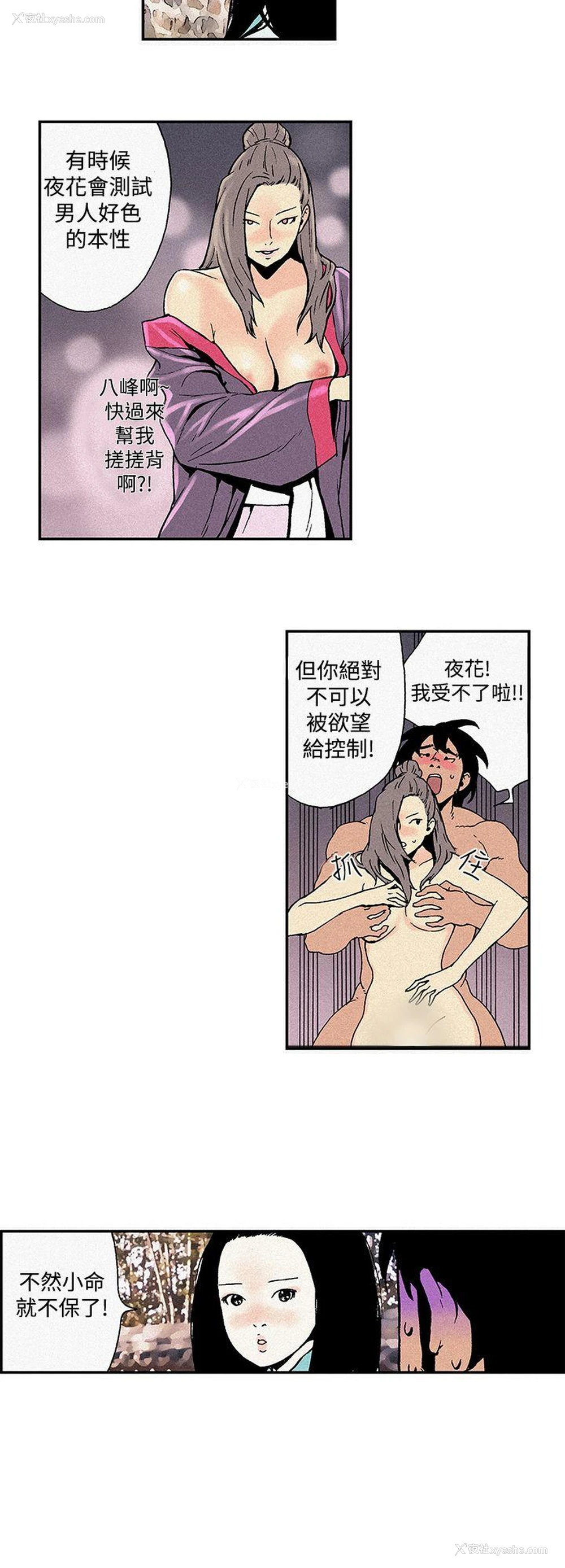 6P - 月红夜花