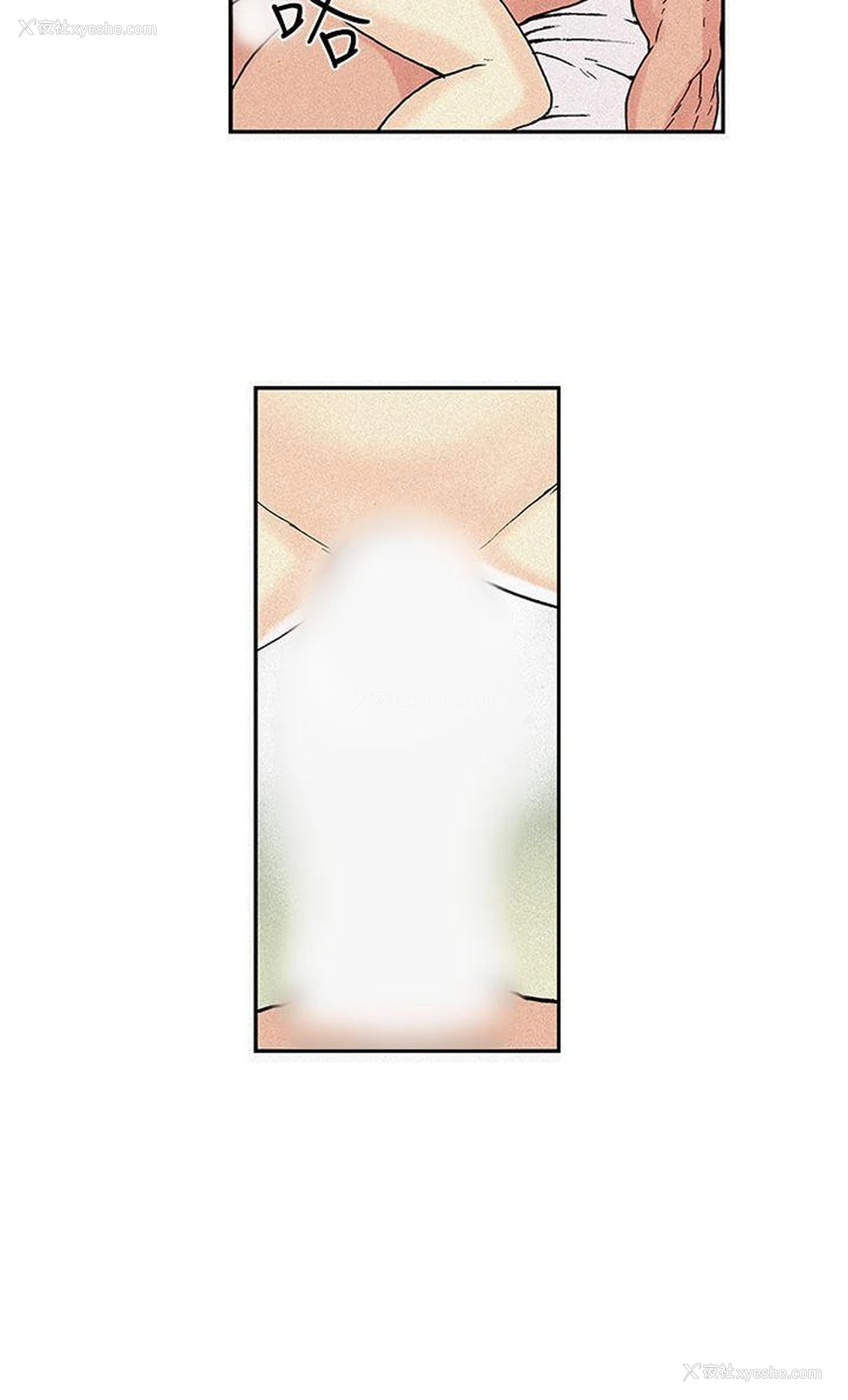 10P - 月红夜花