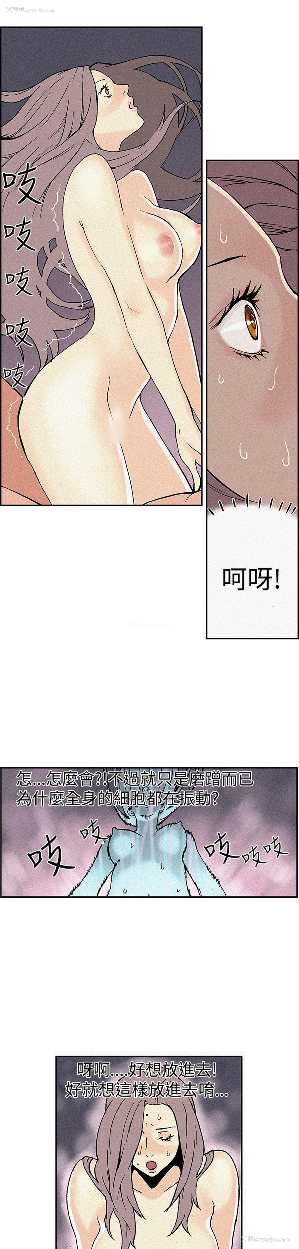 11P - 月红夜花