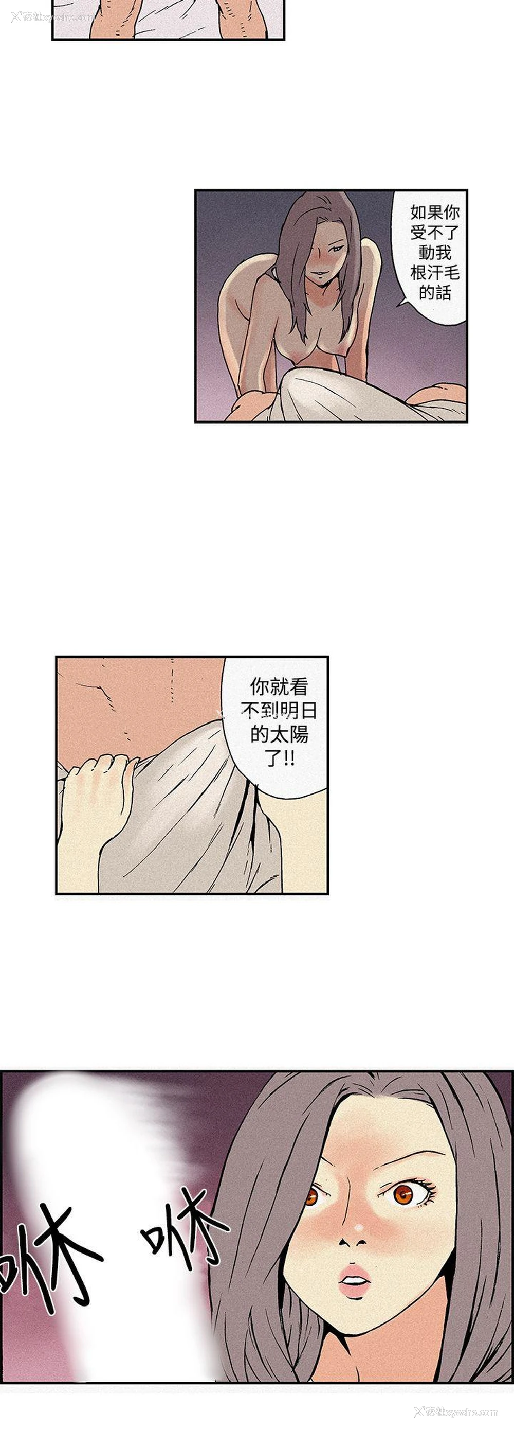 6P - 月红夜花