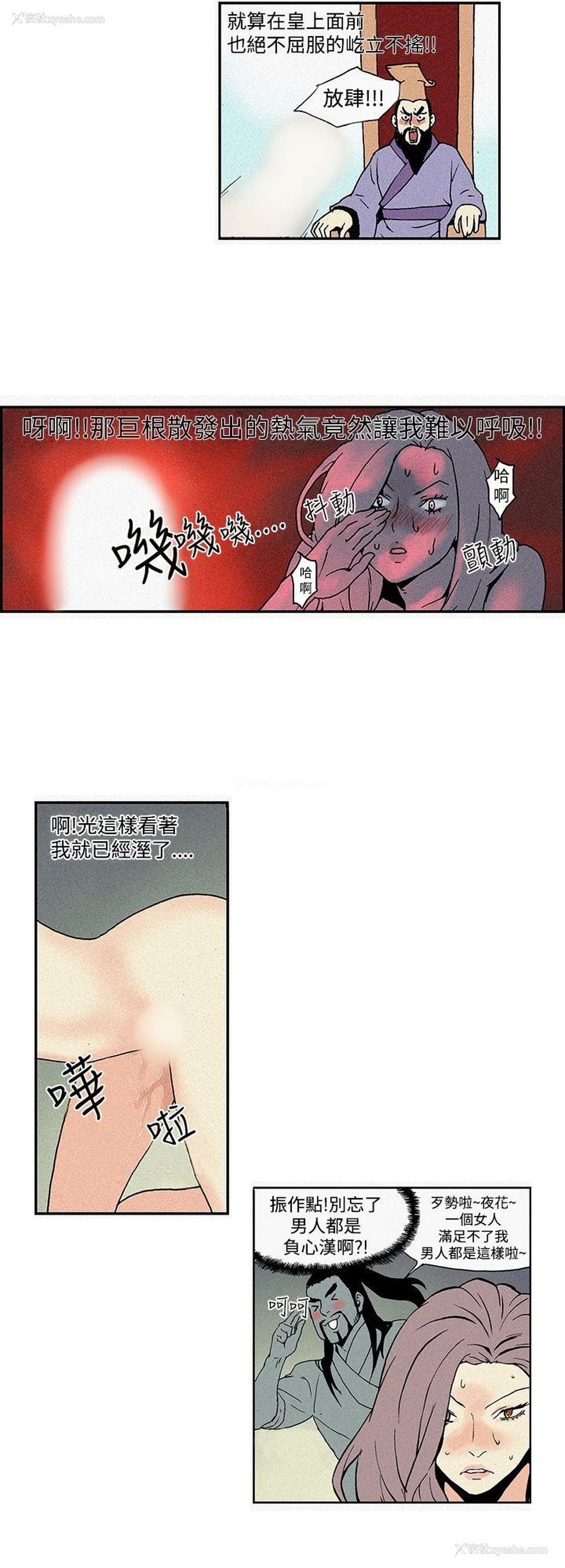 8P - 月红夜花