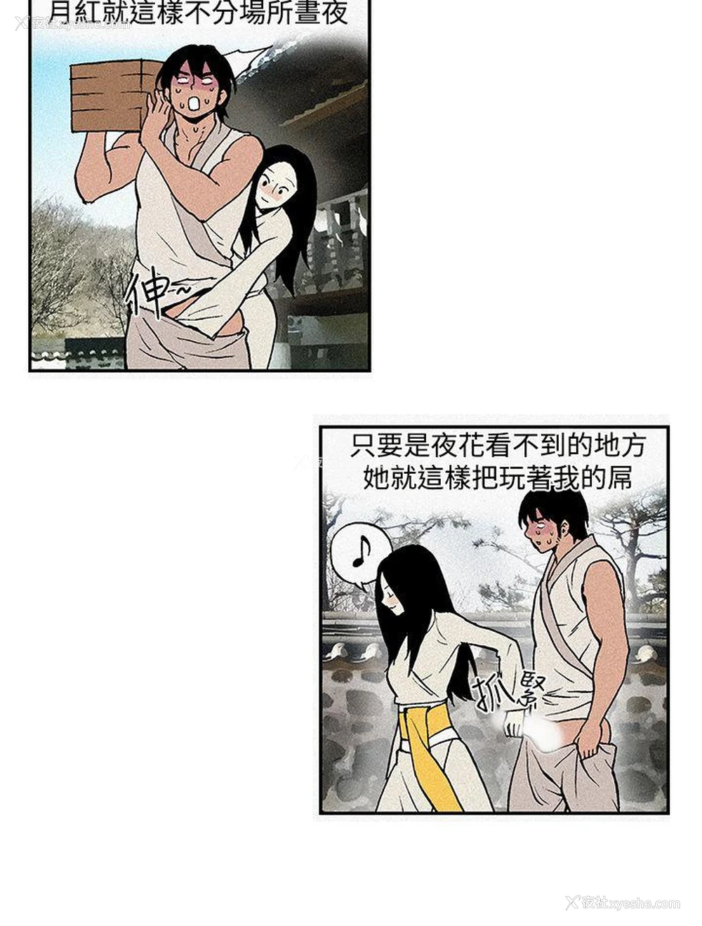 12P - 月红夜花