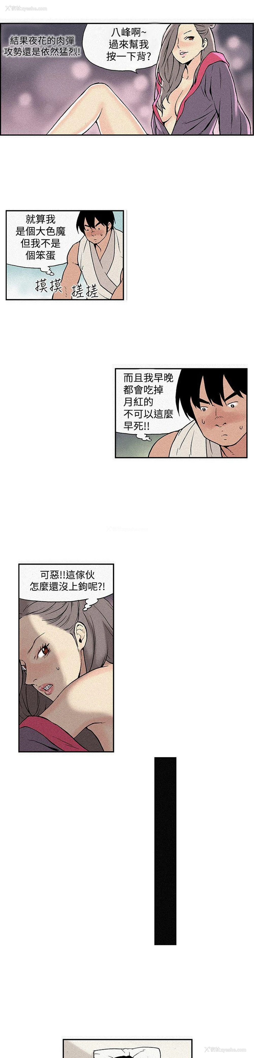 13P - 月红夜花