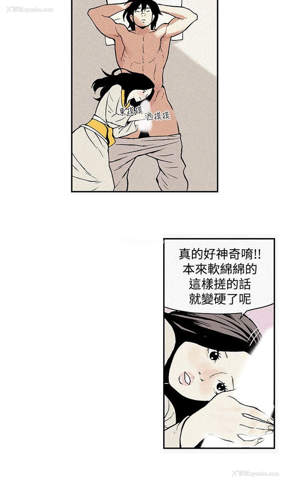 14P - 月红夜花