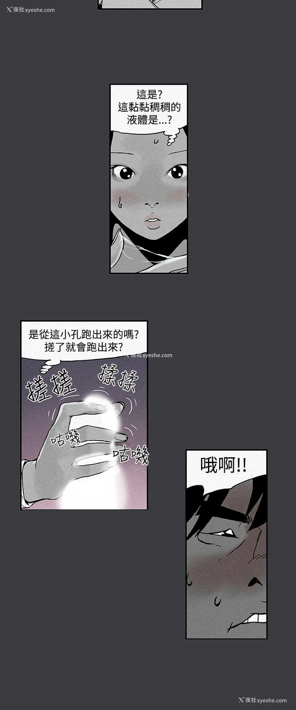 6P - 月红夜花