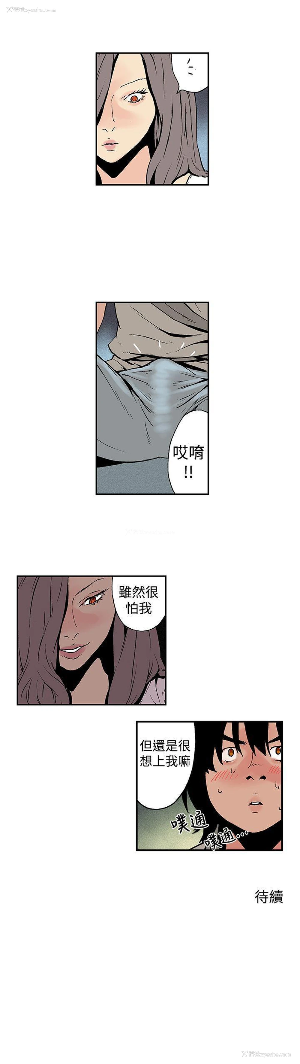 13P - 月红夜花
