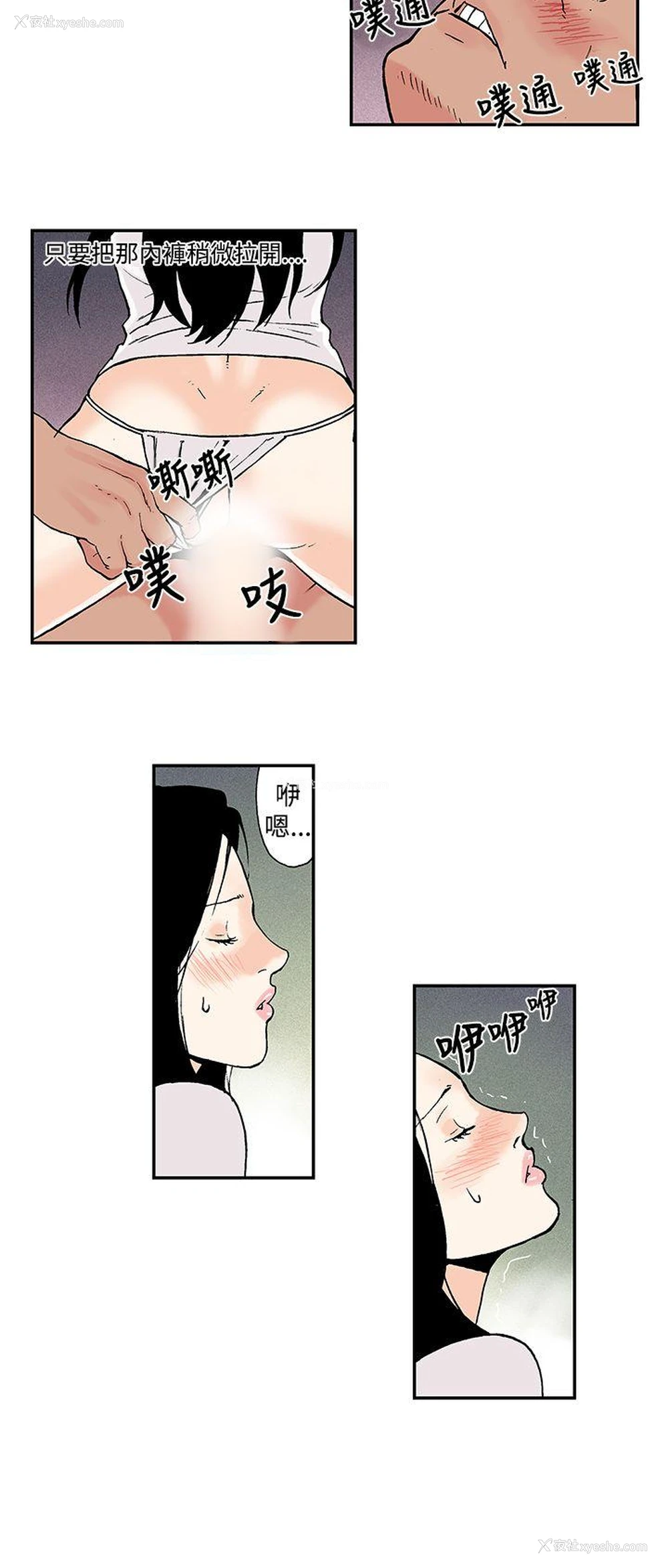 10P - 月红夜花