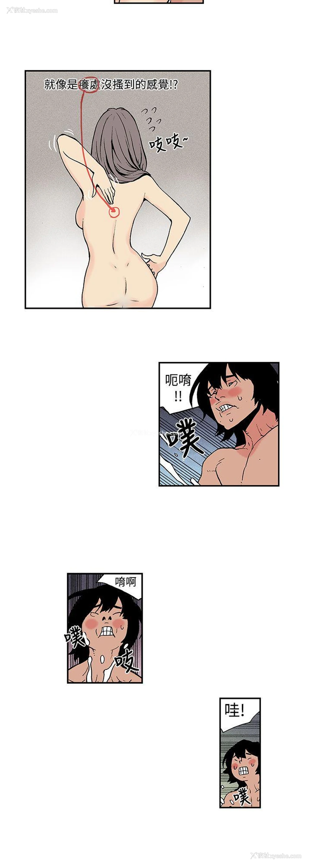 4P - 月红夜花