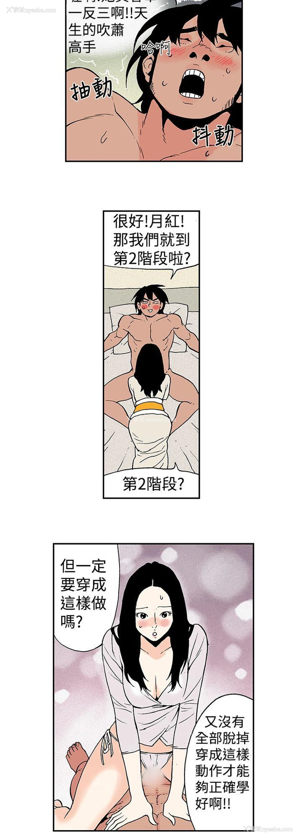 8P - 月红夜花
