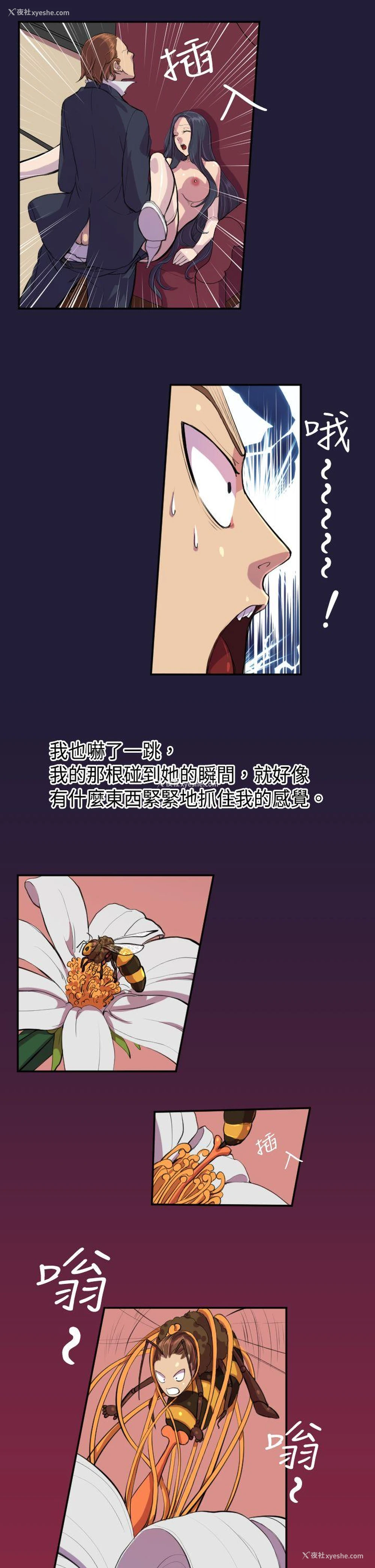 11P - 天使的眼泪