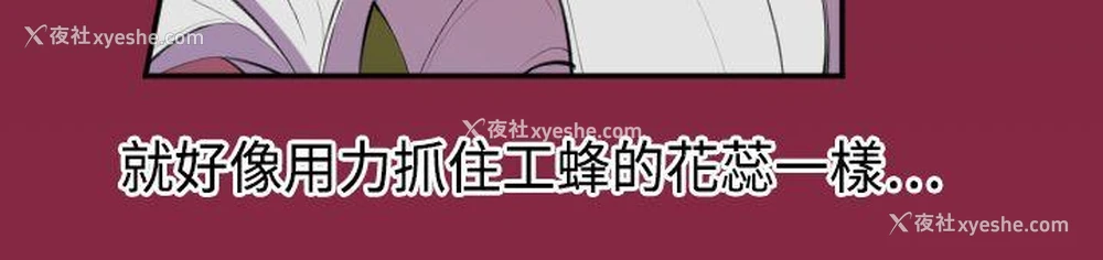 12P - 天使的眼泪