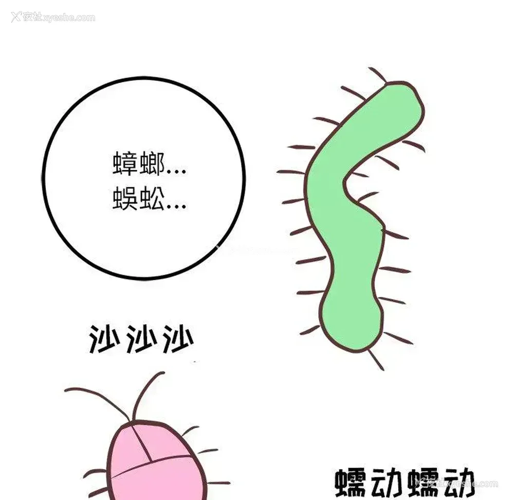 37P - 说出你的愿望