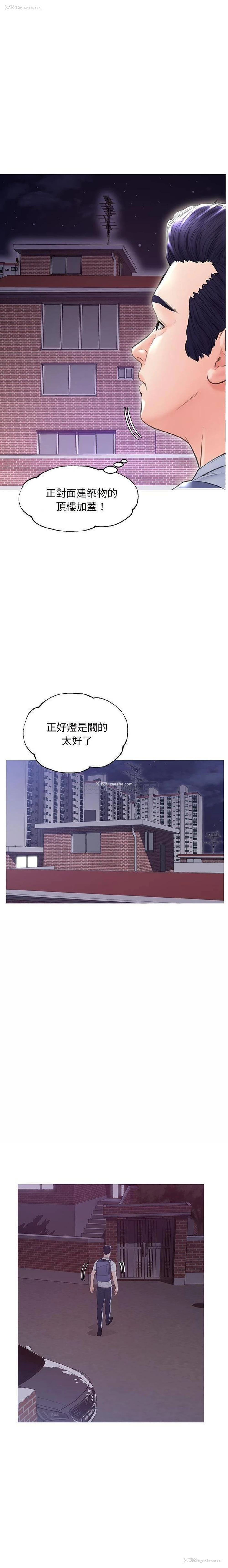 6P - 俏儿媳（媳妇单身中）