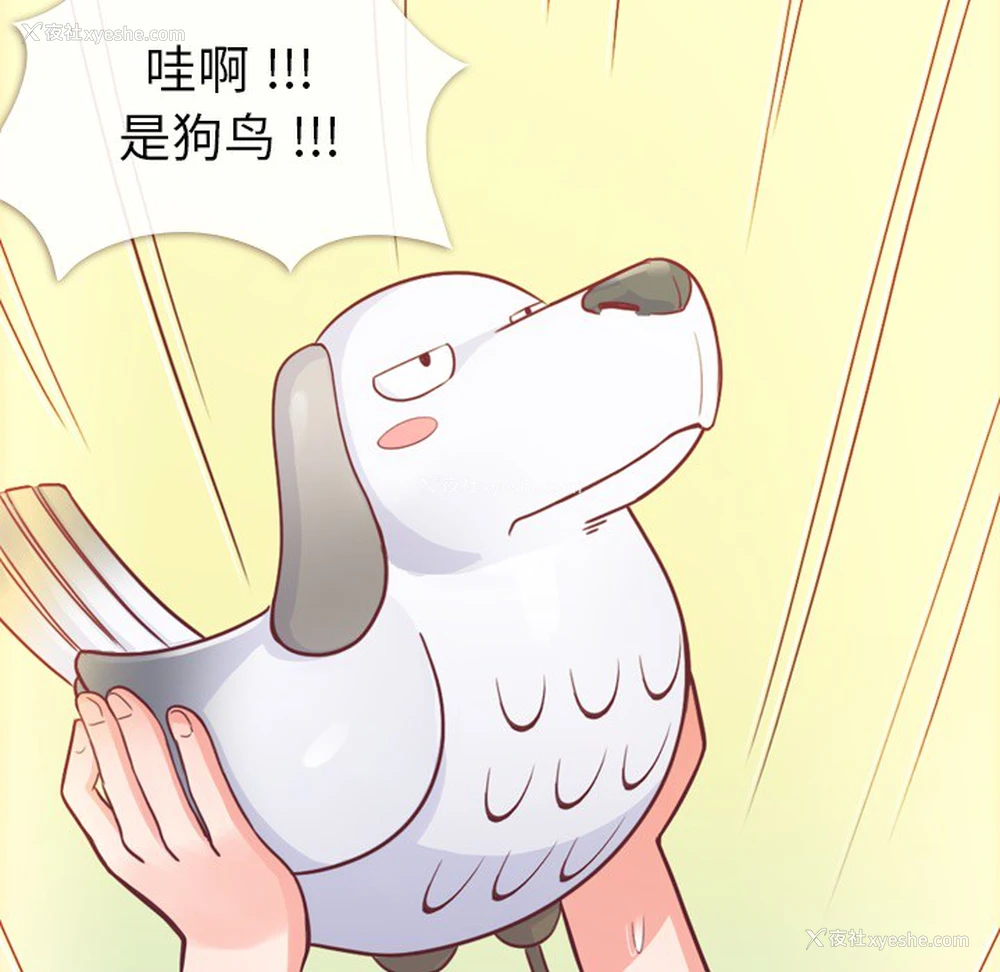 62P - 郑主任为何这样