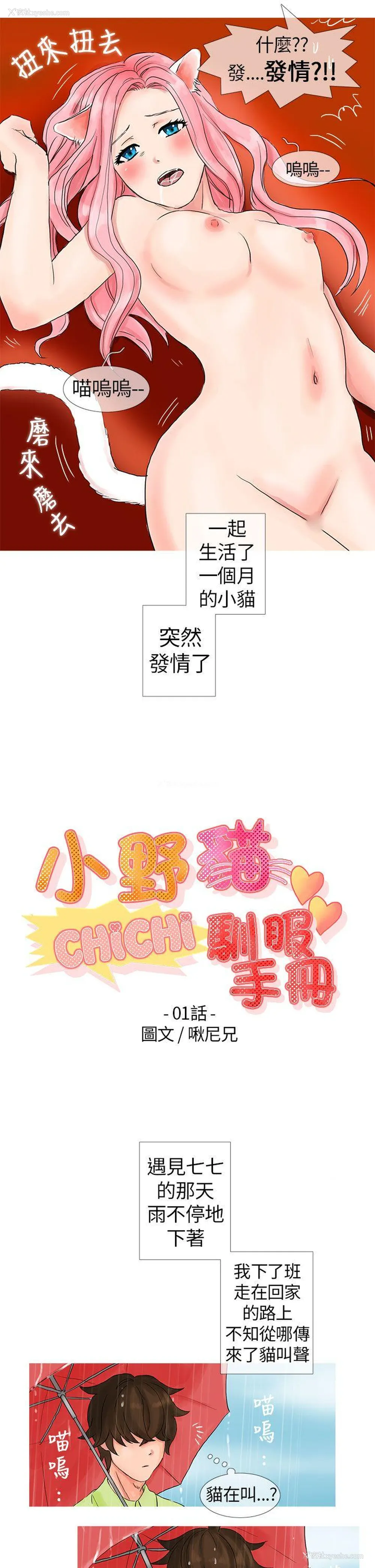 3P - 小野猫驯服手册
