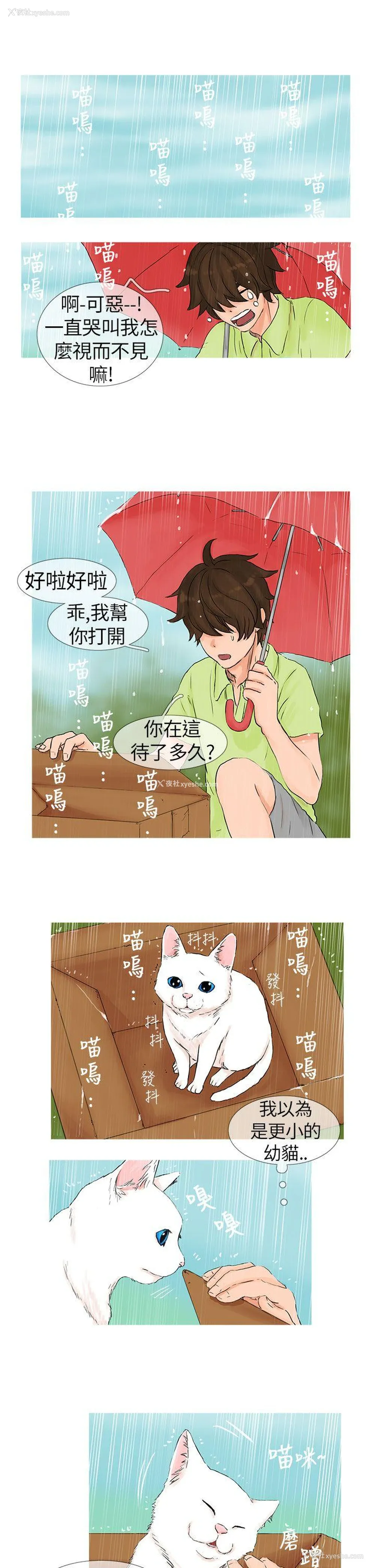5P - 小野猫驯服手册