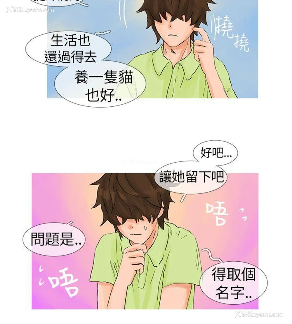 8P - 小野猫驯服手册