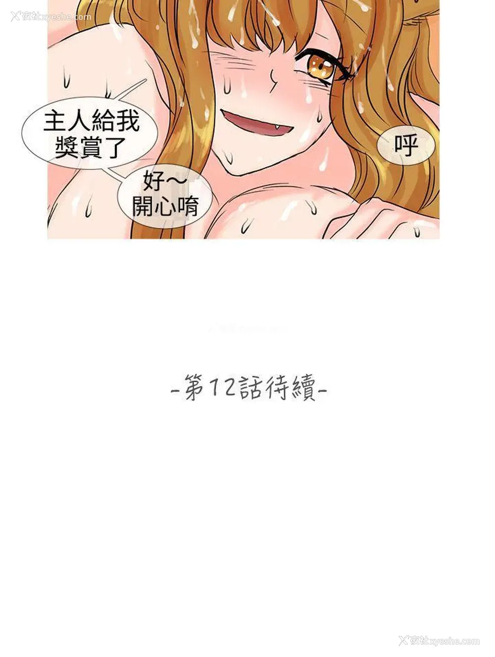 11P - 小野猫驯服手册