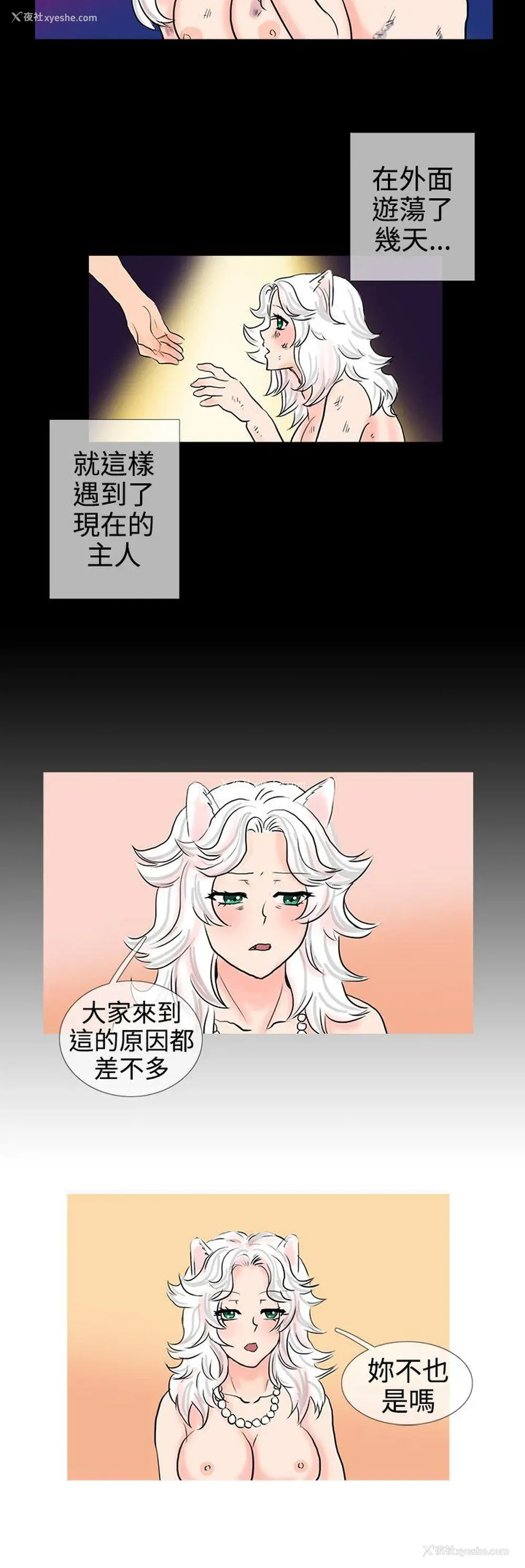 9P - 小野猫驯服手册