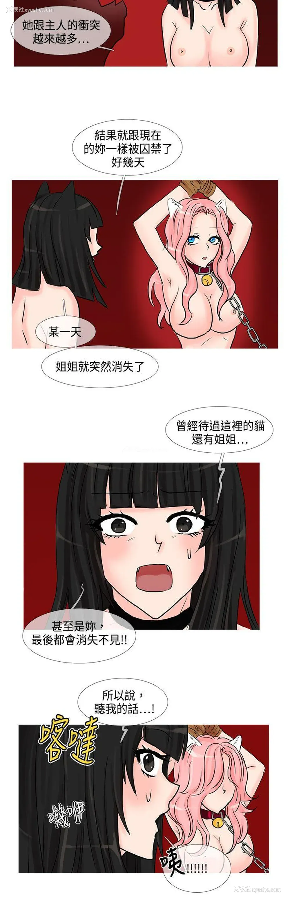 7P - 小野猫驯服手册