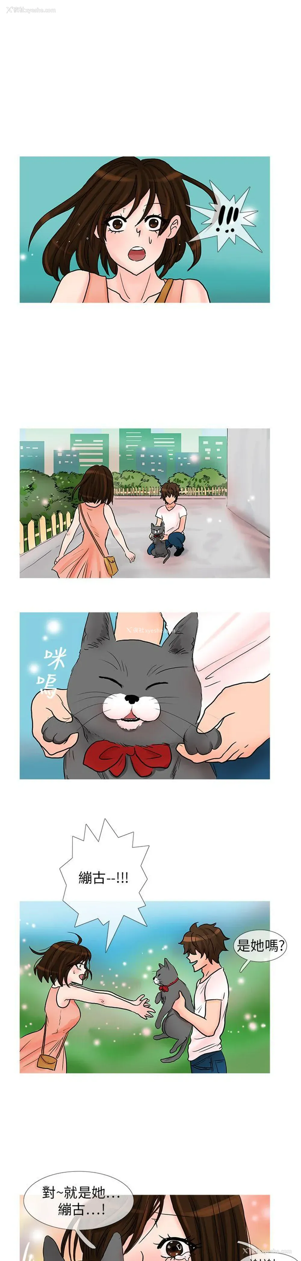 9P - 小野猫驯服手册