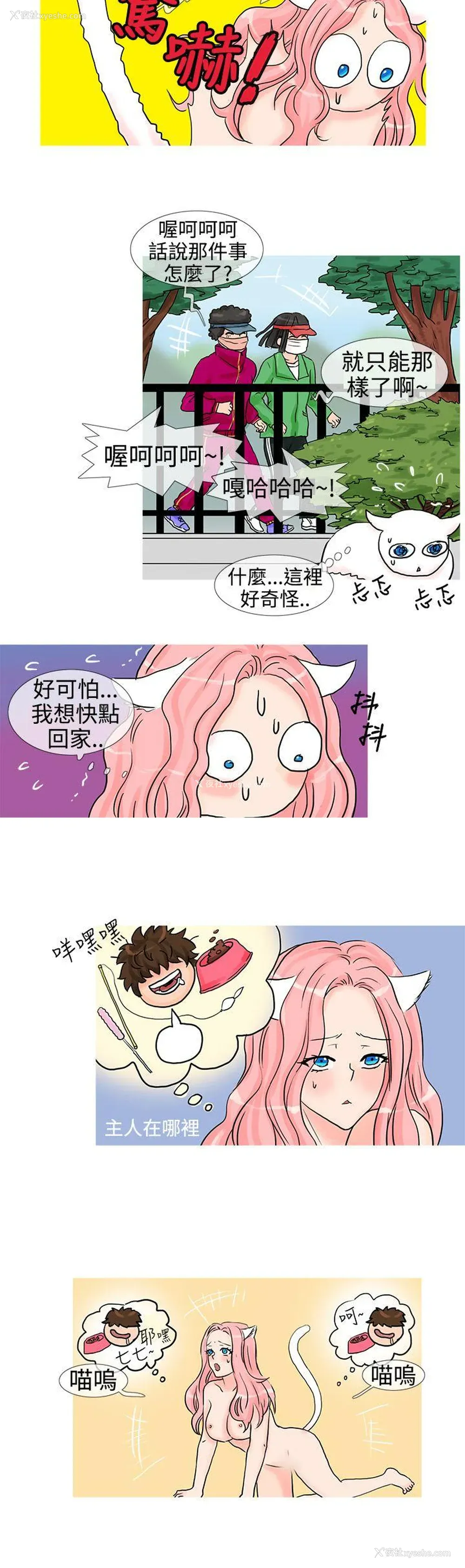 6P - 小野猫驯服手册