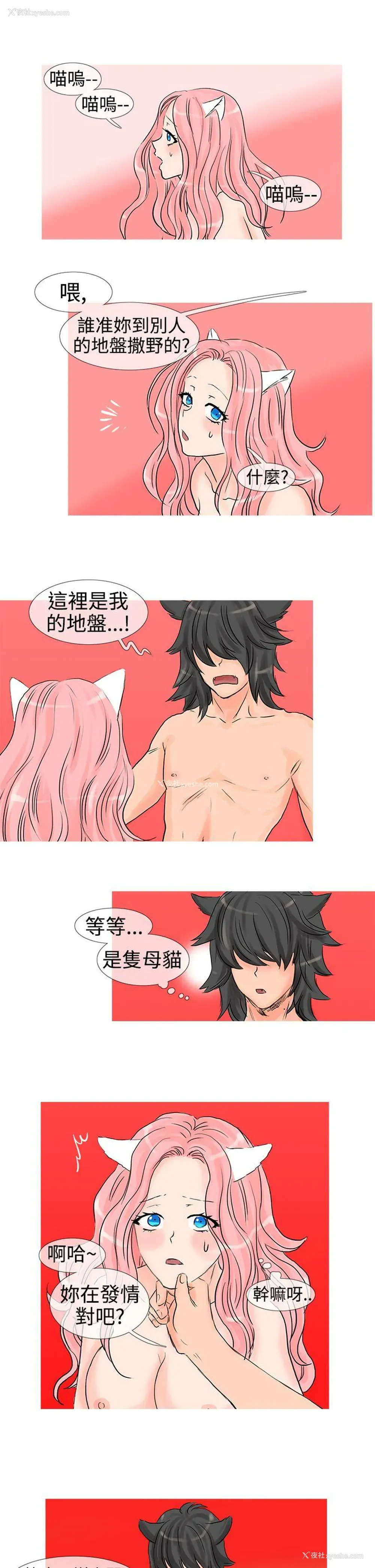 7P - 小野猫驯服手册