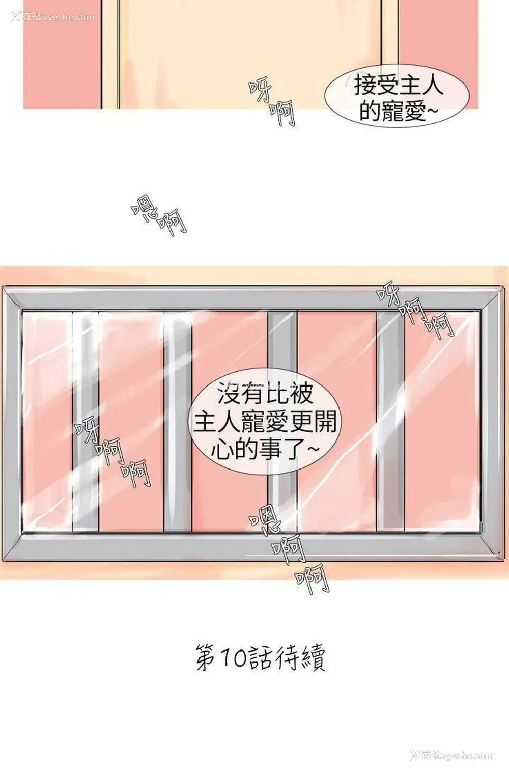 10P - 小野猫驯服手册