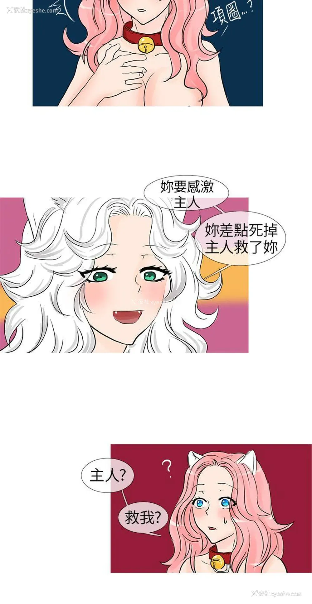 8P - 小野猫驯服手册