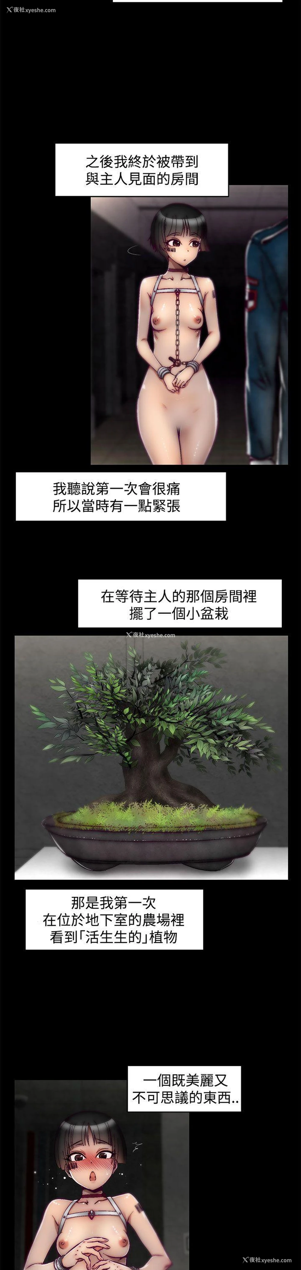 3P - 啪啪啪调教所