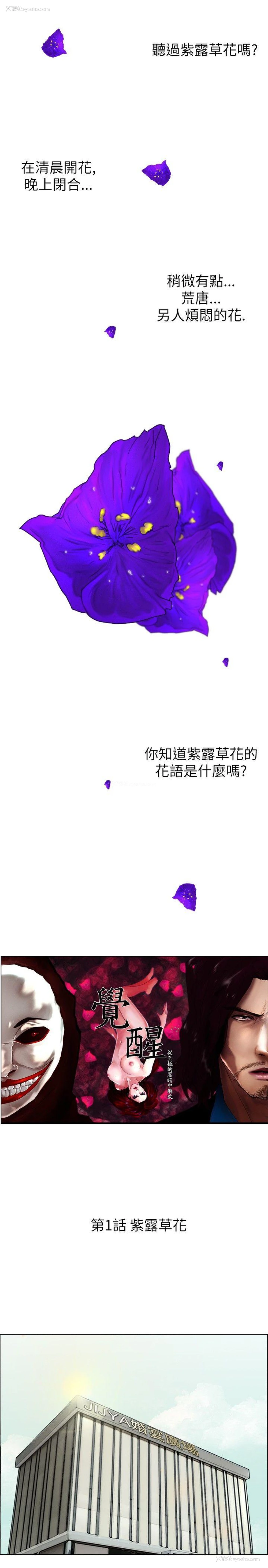 1P - 觉醒