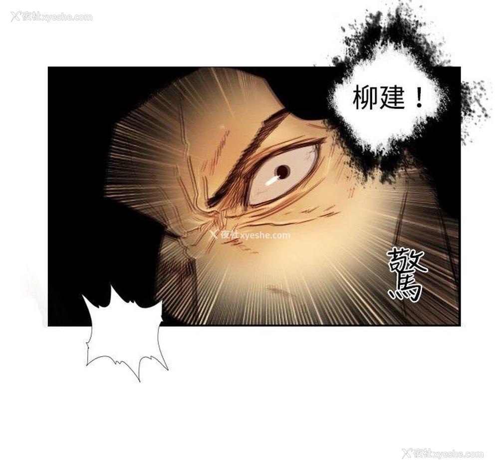 12P - 觉醒