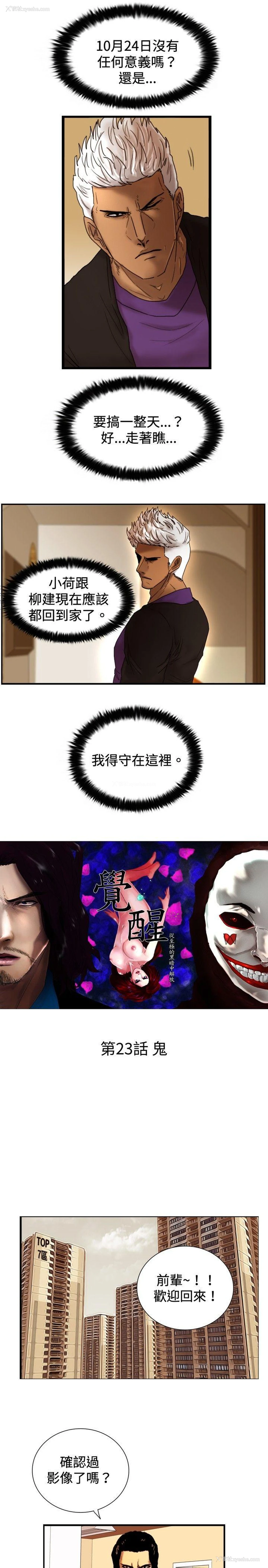 2P - 觉醒