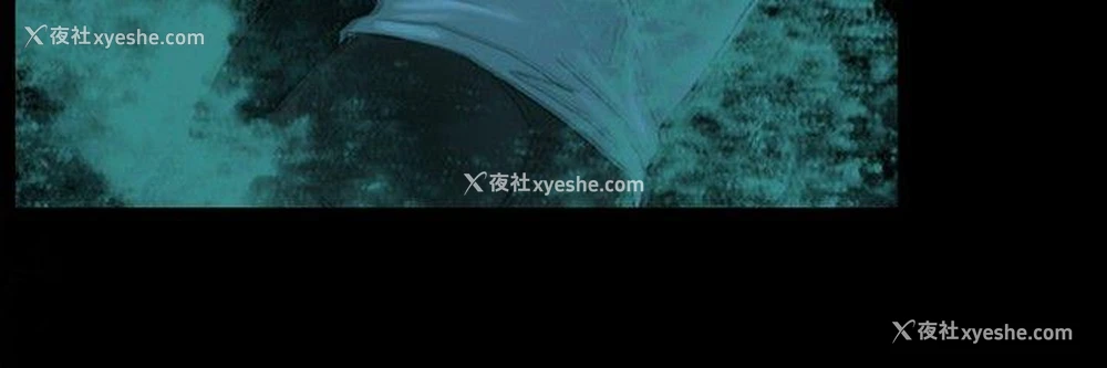 12P - 觉醒