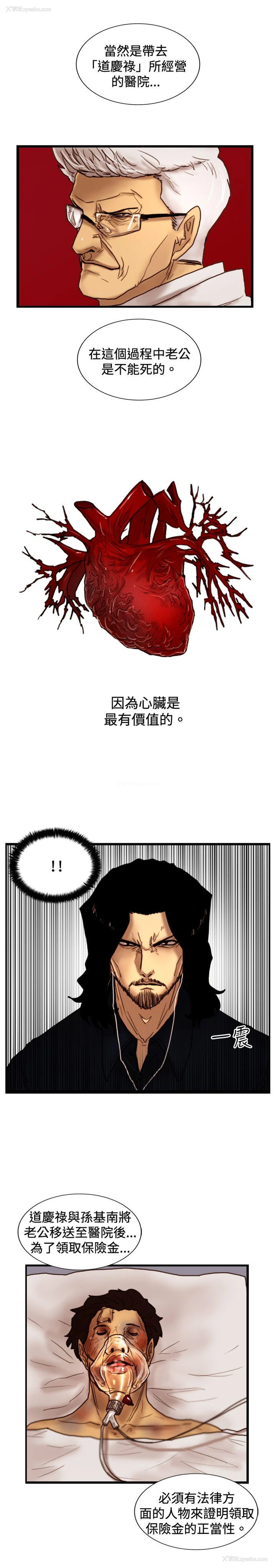 12P - 觉醒