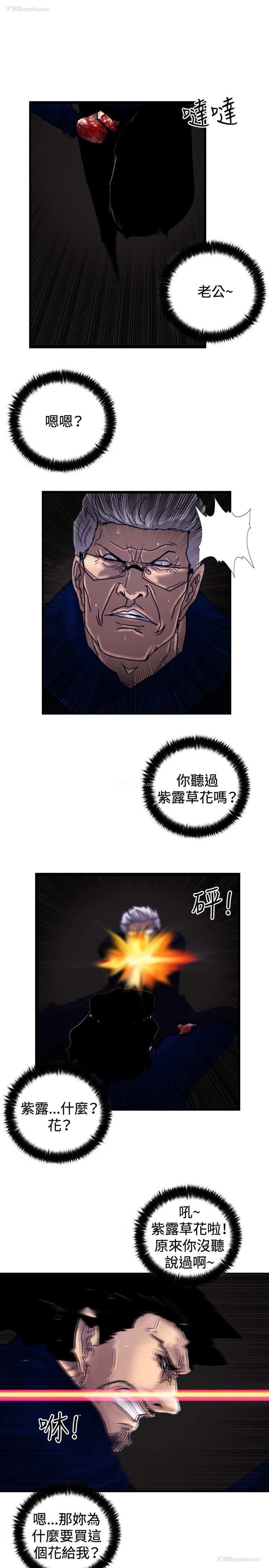 13P - 觉醒