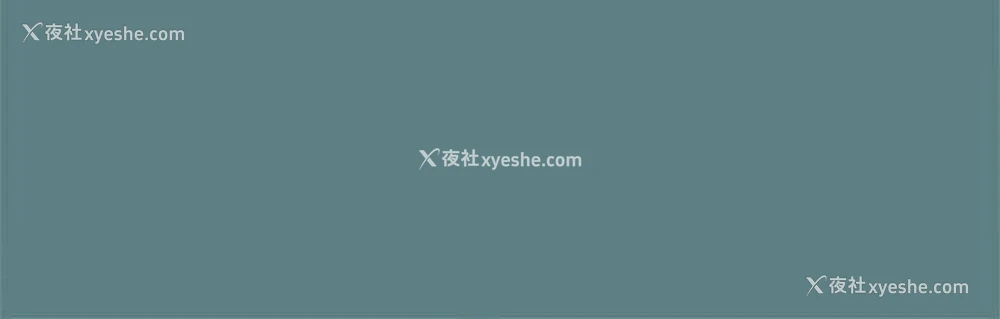 11P - 帮派女婿